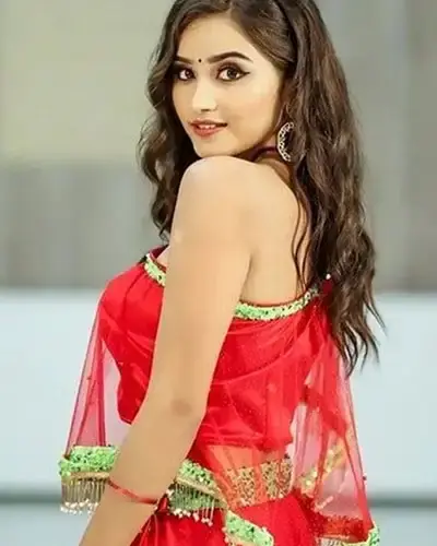 Escort In Seelampur